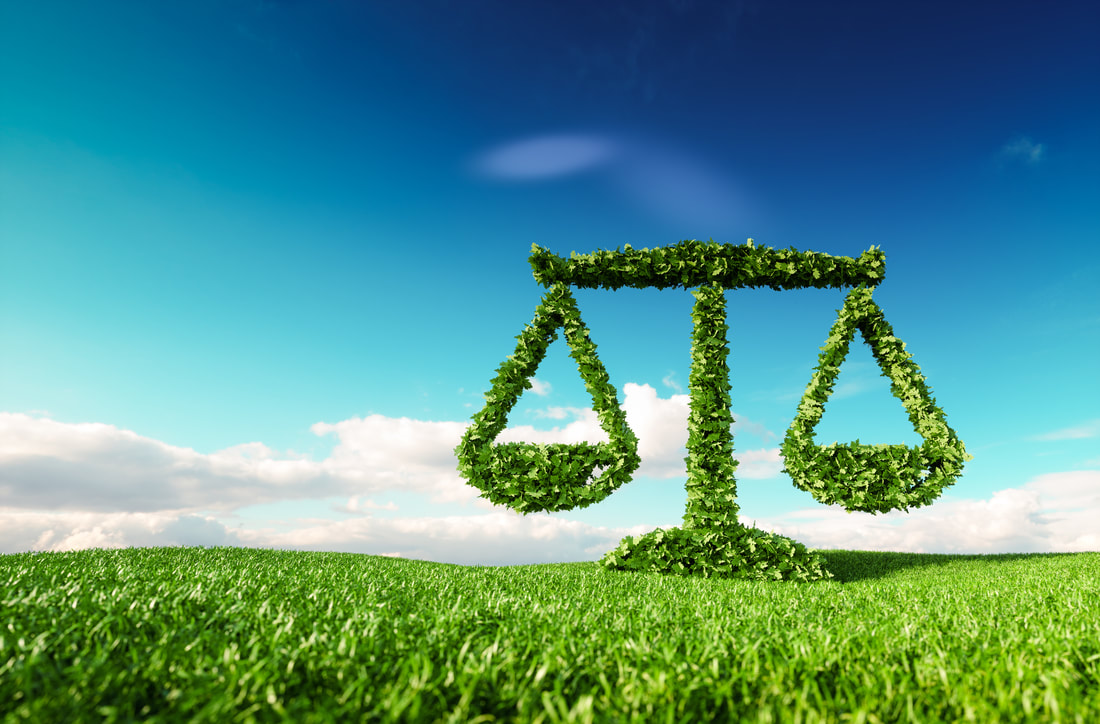 Complexities of Carbon Markets